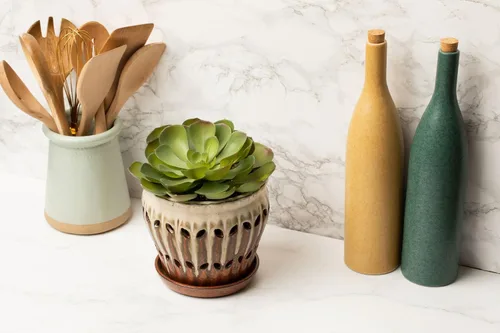 Vista 4 de rePotme Tierra para macetas multiusos para plantas de interior y exterior, orgánica y fabricada en los Estados Unidos, plantas de interior y mezcla
