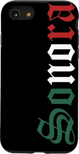 Vista 18 de Sonora Mexico Mexican Flag State Estado Case for iPhone 16
