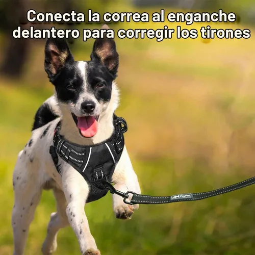 Vista 5 de PoyPet - Arnés para perro sin tirones, pechera reflectante con clip frontal para mascotas con asa vertical acolchada, 3 enganches para la correa