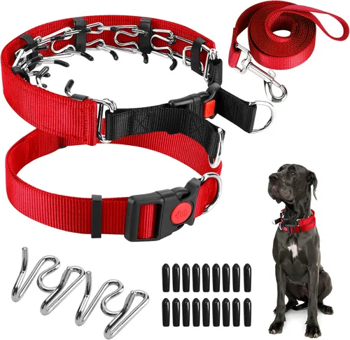 Vista 10 de Collar de entrenamiento de puntas con puntas cómodas y hebilla de cierre rápido – Collar de pellizco para perro con cubierta de nailon