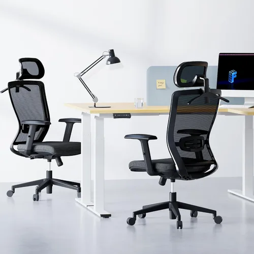 Vista 2 de FLEXISPOT - Silla de oficina ergonómica, sillas de escritorio de malla con respaldo alto y soporte lumbar ajustable, reposacabezas 2D, reclinable