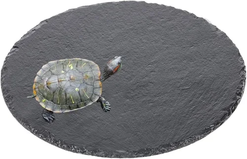 Vista 2 de Plataforma para tomar el sol de reptiles para tomar el sol, plataforma de alimentación de tortuga, plato de comida, cuenco de decoración de hábitat
