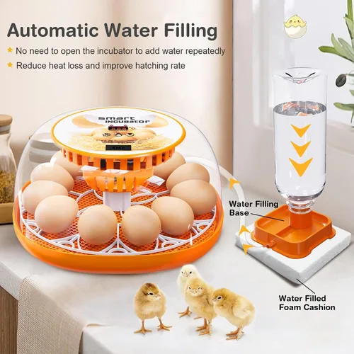 Vista 11 de Incubadora de 12 huevos con giro automático de huevos y control de temperatura, adición automática de agua, vela LED de huevos, incubadoras