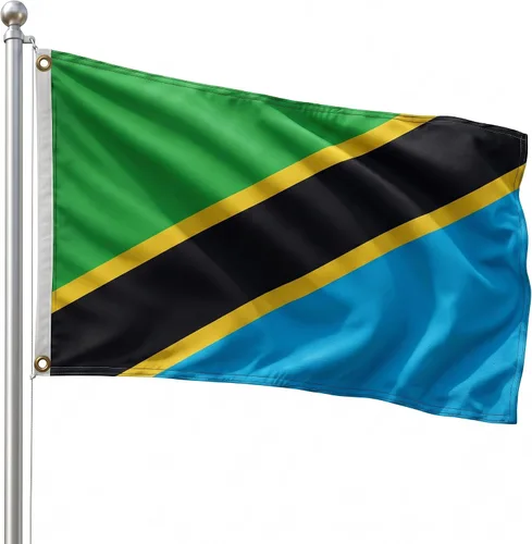 Vista 58 de DMSE - Bandera nacional beninesa beninesa de la República de África Occidental, 2 x 3 pies, 100 % poliéster, 100 % poliéster, resistente a los rayos