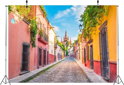 Vista 5 de BELECO Telón de fondo de tela medieval de 5 x 3 pies, casas coloridas de San Miguel de Allende, fondo de pueblo mexicano para cumpleaños, boda