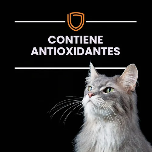 Vista 10 de Purina Pro Plan Veterinary Diets NF Kidney Function Advanced Care Feline Formula Alimento seco para gatos adultos - Bolsa de 3.15 libras