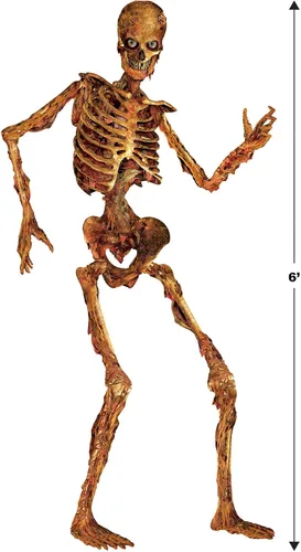 Vista 2 de Beistle d Gory Skeletons - Telón de fondo para fotos, 6 pies de alto, juego de 2 decoración de pared para fiesta de Halloween, espeluznante corte