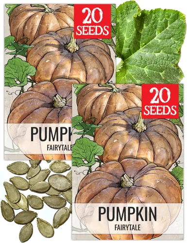 Vista 14 de Seed Needs Semillas de calabaza para plantar calabazas pequeñas de tarta de azúcar, semillas de verduras sin OMG y sin tratar para plantar un huerto