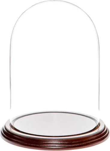 Vista 6 de Plymor Cúpula de cristal de 5.5 x 8 pulgadas (base de madera MDF negra)