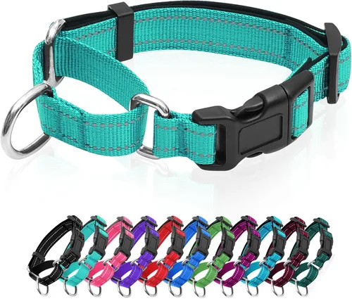 Vista 11 de Collares de perro Martingale reflectantes. Collar de perro con hebilla de liberación rápida. Collar de mascota de nylon ajustable, suave, acolchado