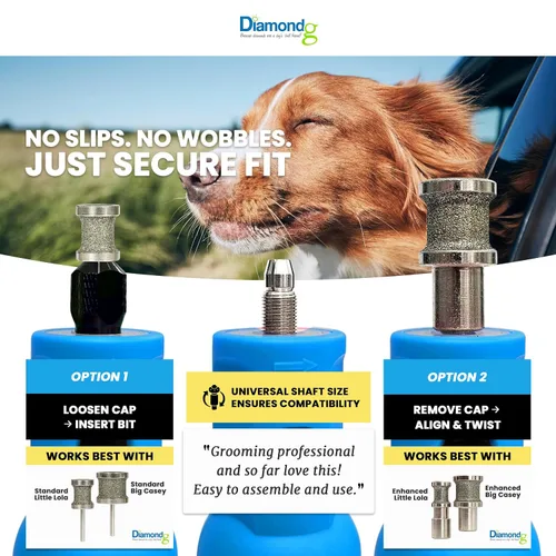 Vista 8 de Diamondg Molinillo de uñas inalámbrico para perros con sonido silencioso y punta LED para perros grandes y pequeños, 4 horas de funcionamiento 003