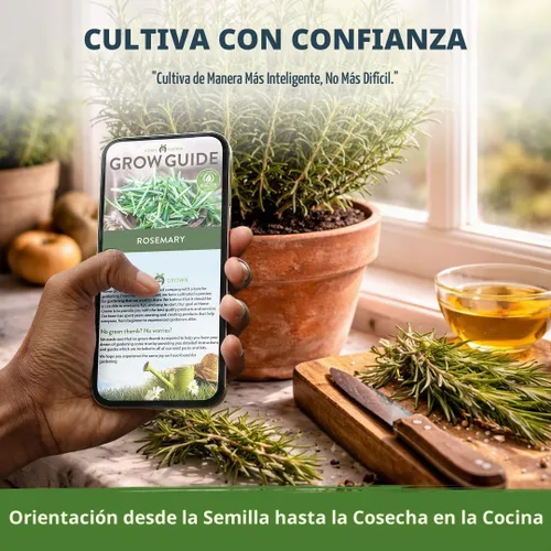 Vista 8 de HOME GROWN Semillas de Romero, 150 Semillas, Salvia rosmarinus