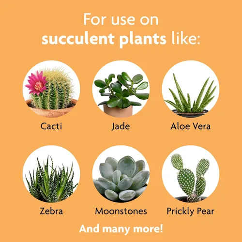 Vista 3 de Miracle-Gro Alimento para plantas suculentas, 8 onzas, para suculentas incluyendo cactus, jade y aloe