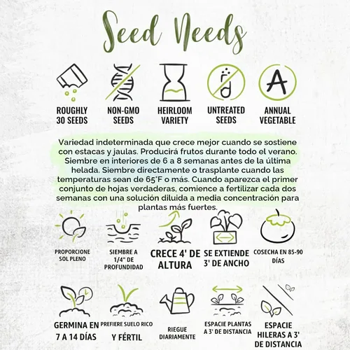 Vista 8 de Seed Needs Semillas de tomate para plantar tomates indeterminados de carne de res verdaderos, reliquia sin OMG y semillas de vegetales sin tratar