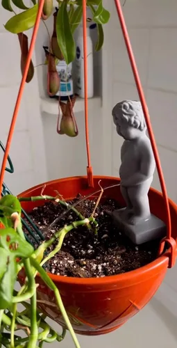Vista 5 de NPW Plant Life - Estatua de estaca de riego automático "Pee My Plants", divertida estaca de riego automático, decoración novedosa para jardín