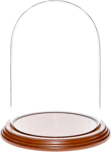 Vista 5 de Plymor Cúpula de cristal de 5.5 x 8 pulgadas (base de madera MDF negra)