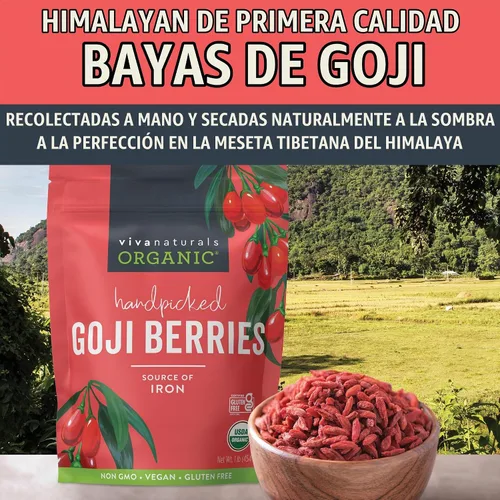 Vista 6 de Bayas de Goji del Himalaya orgánicas, mucho más grandes y jugosas de Viva Labs, 1