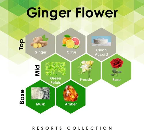 Vista 2 de Ginger Flower - Recambio de 4 onzas para difusor de aceite con jengibre, rosa, ámbar y más notas