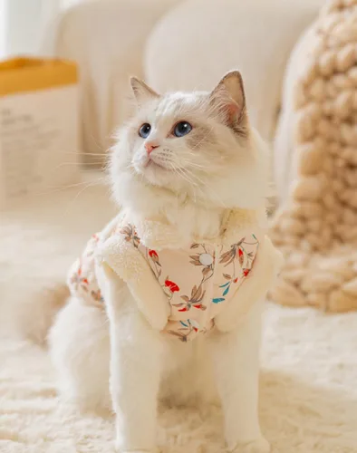 Vista 5 de Abrigo para perro, pijama de invierno para gatos, pequeños trajes de algodón floral para perro, chaqueta acolchada para perro, overol para mascotas