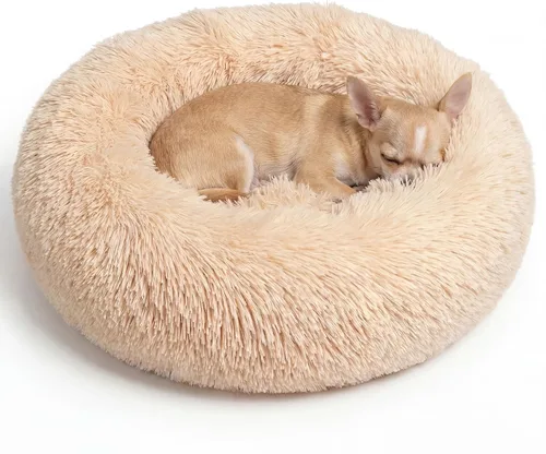 Vista 28 de Cama pequeña para perros extra pequeños para caniche de juguete Chihuahua Pomerania