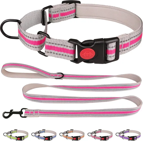 Vista 10 de Collar Martingala para perros, juego de collar y correa Martingala reflectante acolchado de neopreno suave con hebilla de seguridad, collar Azul