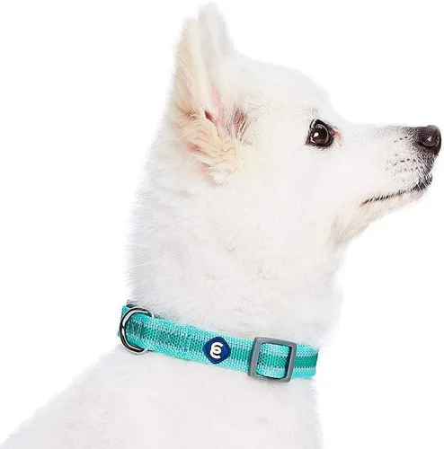Vista 4 de Blueberry Pet Essentials - Collar para perros pequeños a juego, ajustable, clásico, de nailon, color sólido, para perros pequeños, collar