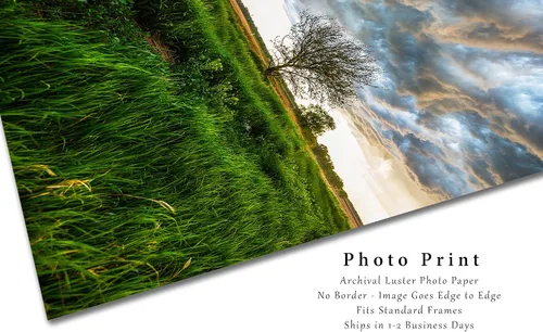 Vista 2 de Great Plains - Impresión fotográfica (sin marco), imagen vertical del árbol bajo el cielo tormentoso en el día de primavera en la pradera de Kansas