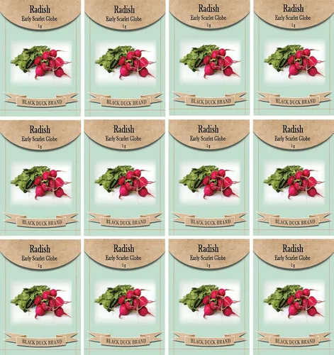 Vista 17 de Juego de 12 paquetes de semillas de verduras de roqueta de rúcula, crea un jardín de lujo, todas las semillas son reliquias, 100% sin OMG