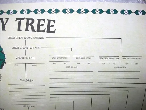 Vista 3 de Genealogía de Gráfico de Árbol Geneal