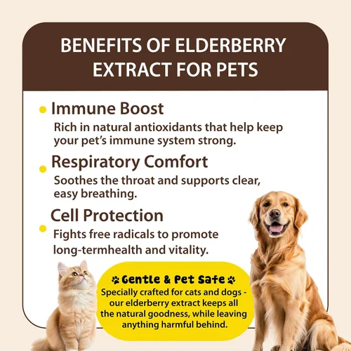 Vista 4 de Medicamento para la tos para perros y gatos, apoyo para infecciones respiratorias, alivio de estornudos y tratamiento para la tos de las perreras