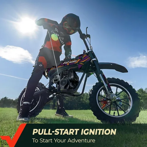 Vista 2 de FRP FX40 - Bicicleta de motocross a gas para adolescentes, 40 cc, 4 tiempos Púrpura