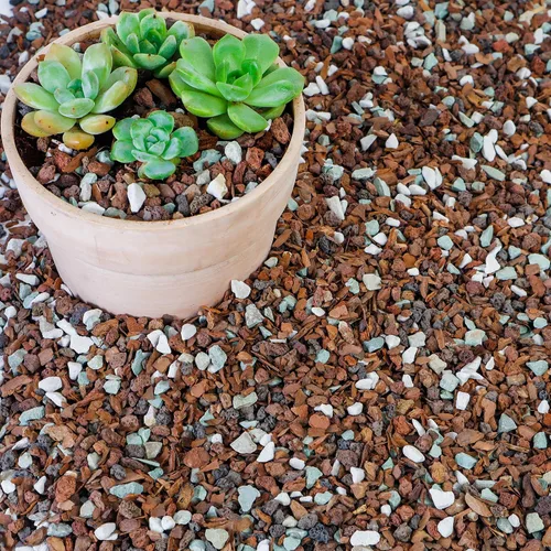 Vista 9 de Mezcla de suelo para bonsái de 2 cuartos, lava, corteza, roca volcánica, zeolita verde y perlita, mezcla orgánica natural para plantas en maceta