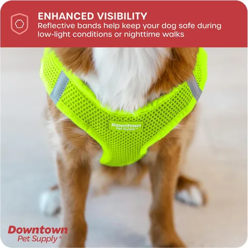 Vista 128 de Downtown Pet Supply Arnés para perro Step-in – Sin tirones, malla acolchada ajustable con ribete reflectante, correa de hebilla segura – Arnés