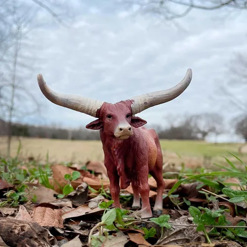 Vista 2 de Safari Ltd. Watusi Figura de toro – Figura detallada de vaca de plástico de 6 pulgadas – Juguete educativo de animales de granja para niños, niñas
