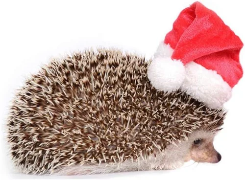 Vista 3 de Ropa de erizo, disfraz de Navidad, traje de Papá Noel, ropa de animal pequeño, forro polar hecho a mano, sudadera con capucha de erizo, accesorios