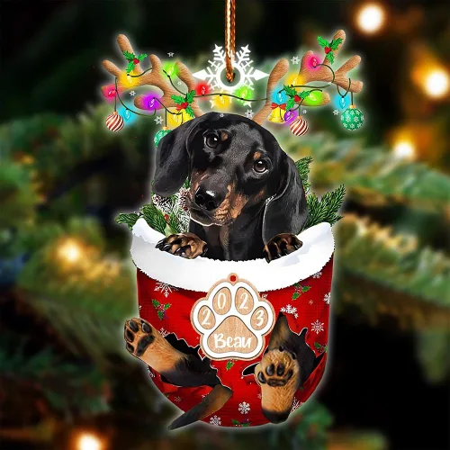 Vista 122 de NAZENTI Adorno Navideño de Bolsillo Personalizado de Affenpinscher en la Nieve, Adorno de Forma Acrílica de Perro, Adorno de Navidad 2023, Adorno