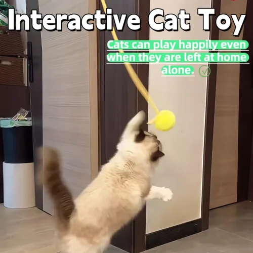 Vista 5 de Juguete de primavera para gatos saltando – Si a tus gatos les encantan los juguetes de varita, prueba esto Enriquecimiento interactivo colgante