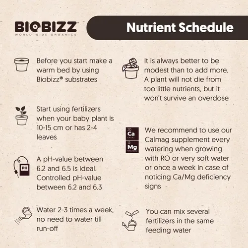 Vista 7 de Biobizz Bio-Bloom 1L