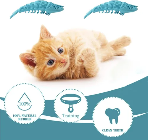 Vista 2 de Paquete de 2 cepillos de dientes para gatos, juguete masticable Azul