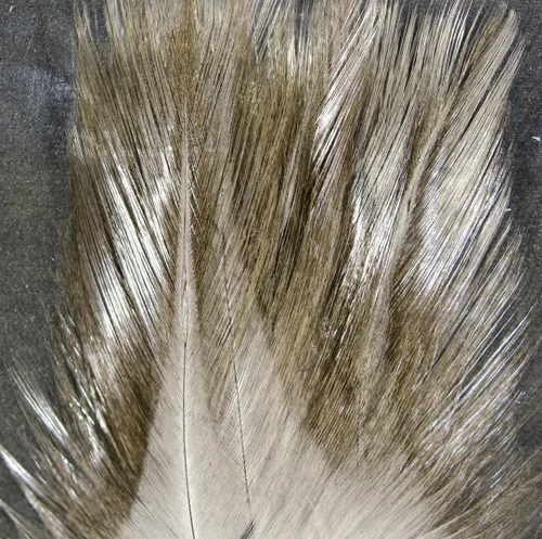 Vista 6 de Hareline Fly Tying Coq De Leon Feathers for Dry Fly Tails, Nymphs, and Euro Patterns Barrado moteado Aconchado