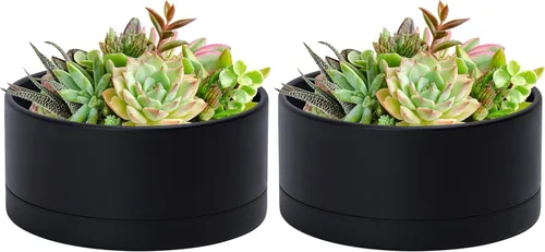 Vista 8 de D'vine Dev - Maceta redonda para suculentas de 8 pulgadas, color negro, 76-Z-B-1 Wide Bowl Design, Thick-Walled Durable Construction, Enhanced
