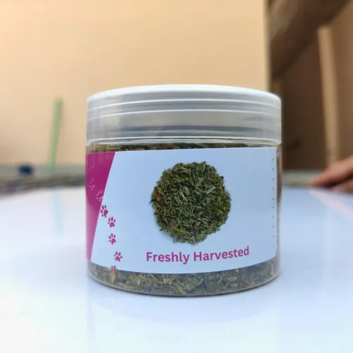 Vista 2 de Hierba gatera 100% natural para gatos y gatitos, mezcla orgánica prémium para energizar y excitar a los gatos, seguro para jugar con gatos