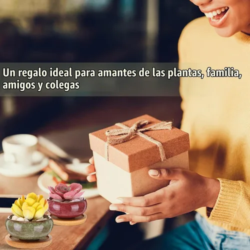 Vista 7 de 24 macetas pequeñas para suculentas de 2.5 pulgadas