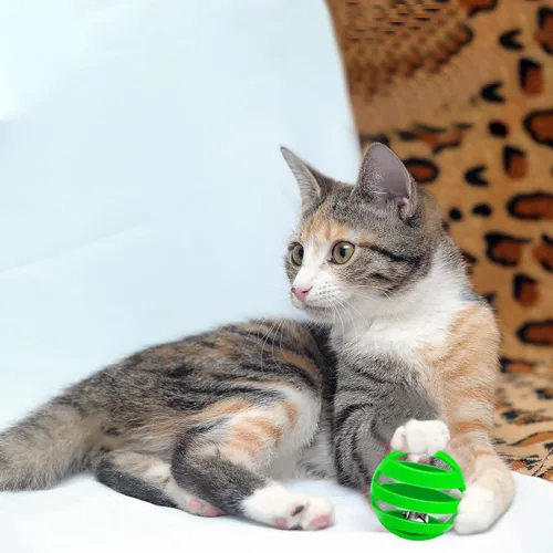 Vista 7 de Kasyat 21 bolas de cascabel para gatos con campanas, celosía de plástico