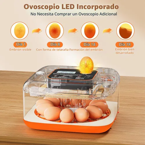 Vista 7 de Incubadoras para incubar huevos Incubadora automática de huevos con control de temperatura y pantalla de humedad, capacidad de 12 huevos para pollo