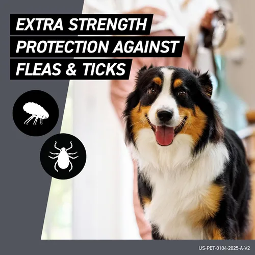 Vista 3 de FRONTLINE Shield - Tratamiento contra pulgas y garrapatas para perros grandes de 41 a 80 libras. Cantidad de 3 Mata pulgas, garrapatas y piojos