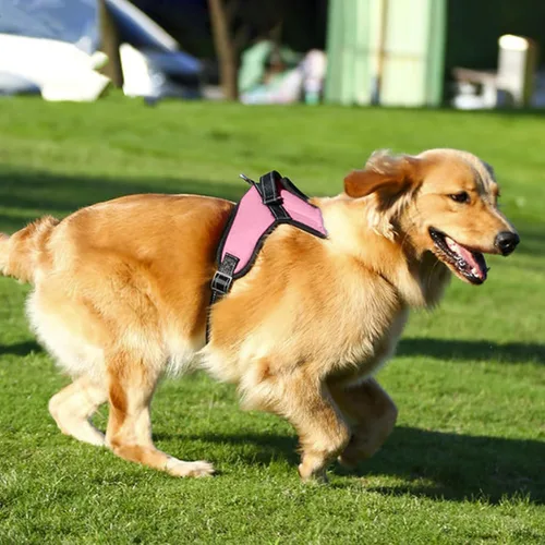 Vista 9 de Arnés ajustable reflectante sin tirones con asa para perro, chaleco Oxford duradero sin estrangulamiento, arnés fácil de poner para perros pequeños