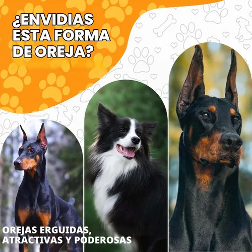 Vista 6 de Juego de 4 cintas de soporte para orejas de perro Doberman dog ear support kit, 4 sets + 2 extra tape rolls, for doberman, samoyed, natural