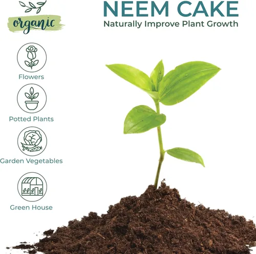 Vista 4 de Zatural Natural Neem Cake Powder Acondicionador orgánico prémium para suelos y fertilizantes para plantas Harina de semillas Azadirachta Indica