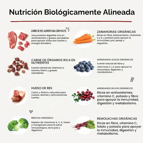 Vista 10 de Stella & Chewy's - Alimento para perros congelado y secos